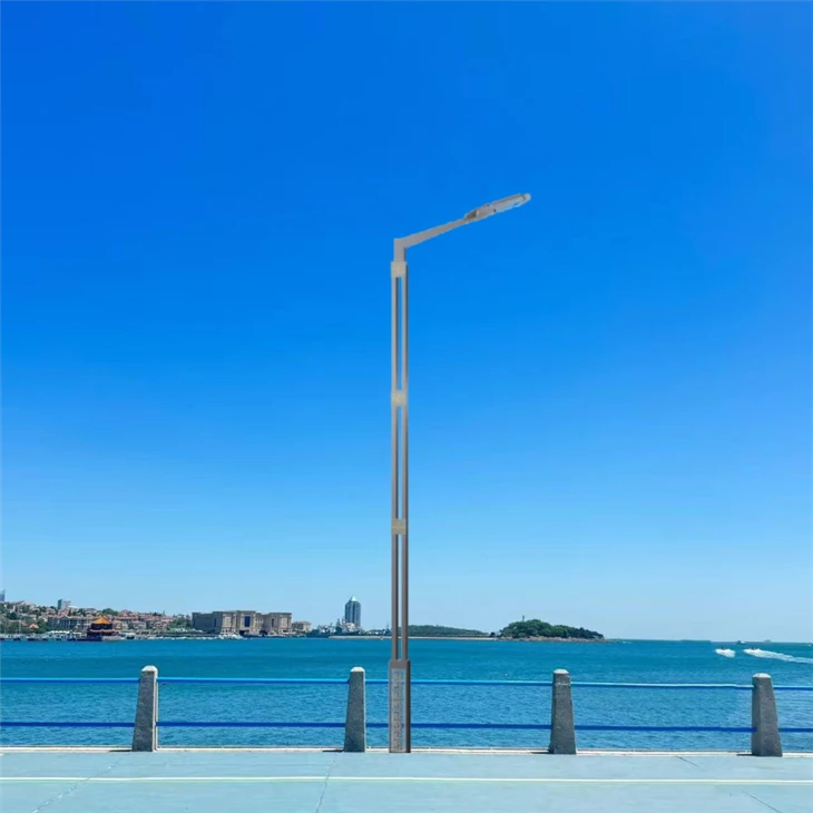 300 Watt Street Light best